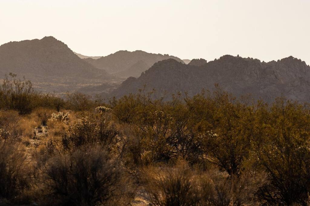 Panoramic Heaven - Luxury Designer Property W Spa Joshua Tree Exteriér fotografie