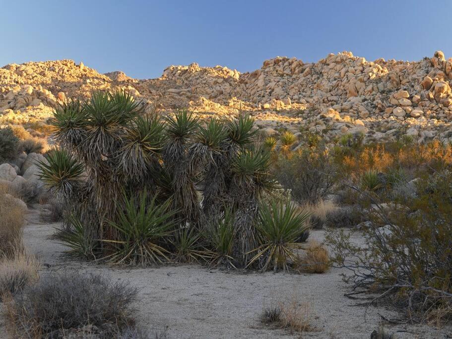 Panoramic Heaven - Luxury Designer Property W Spa Joshua Tree Exteriér fotografie