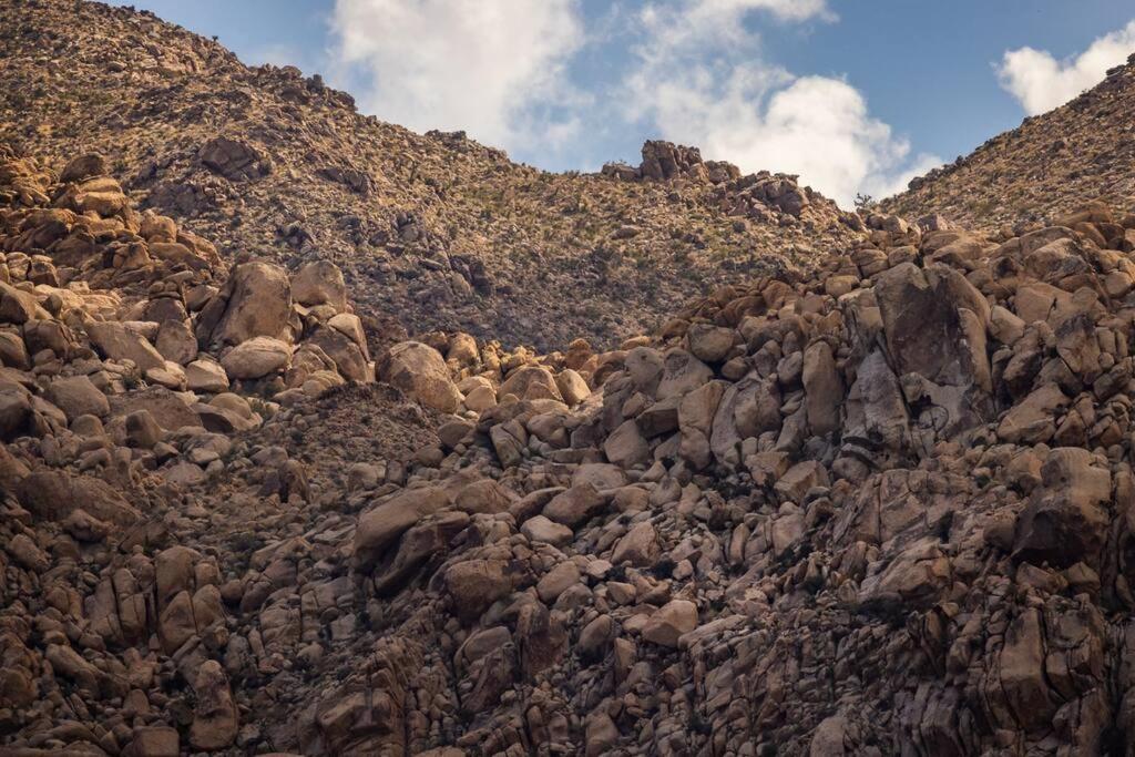Panoramic Heaven - Luxury Designer Property W Spa Joshua Tree Exteriér fotografie